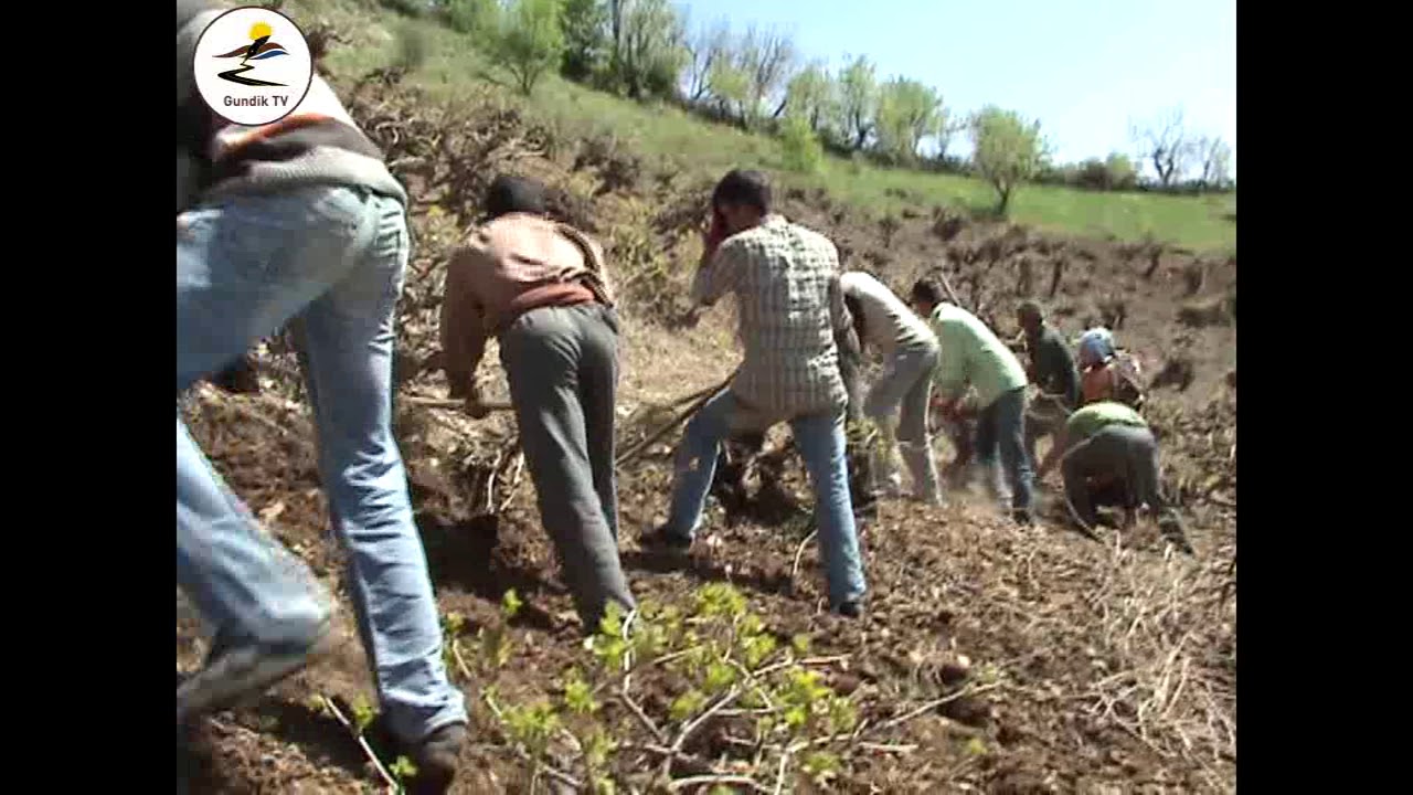 GUNDIKÊ MELÎ -  KOLANA REZAN 2012