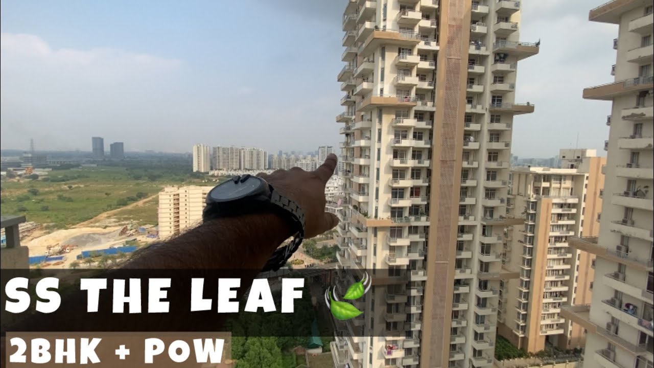 SS The LEAF Sector 85 | DAN SEARCH 9755937624