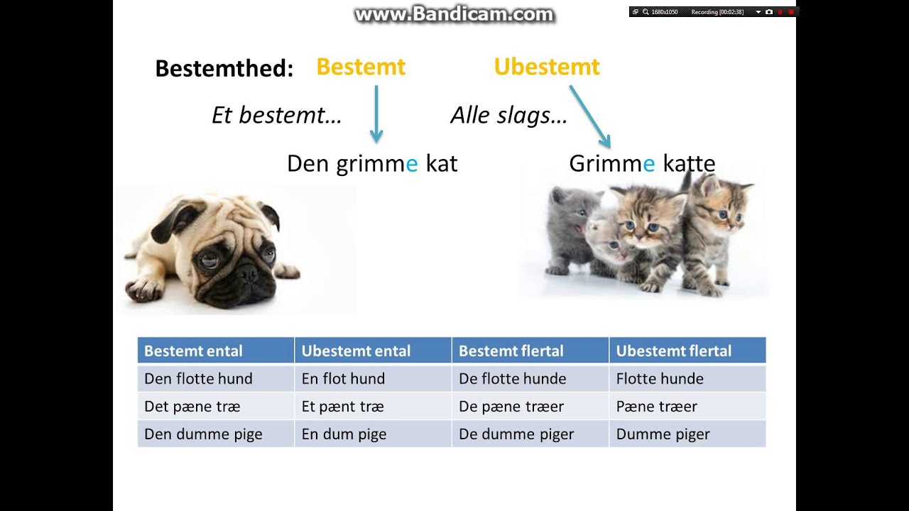 Tillægsord