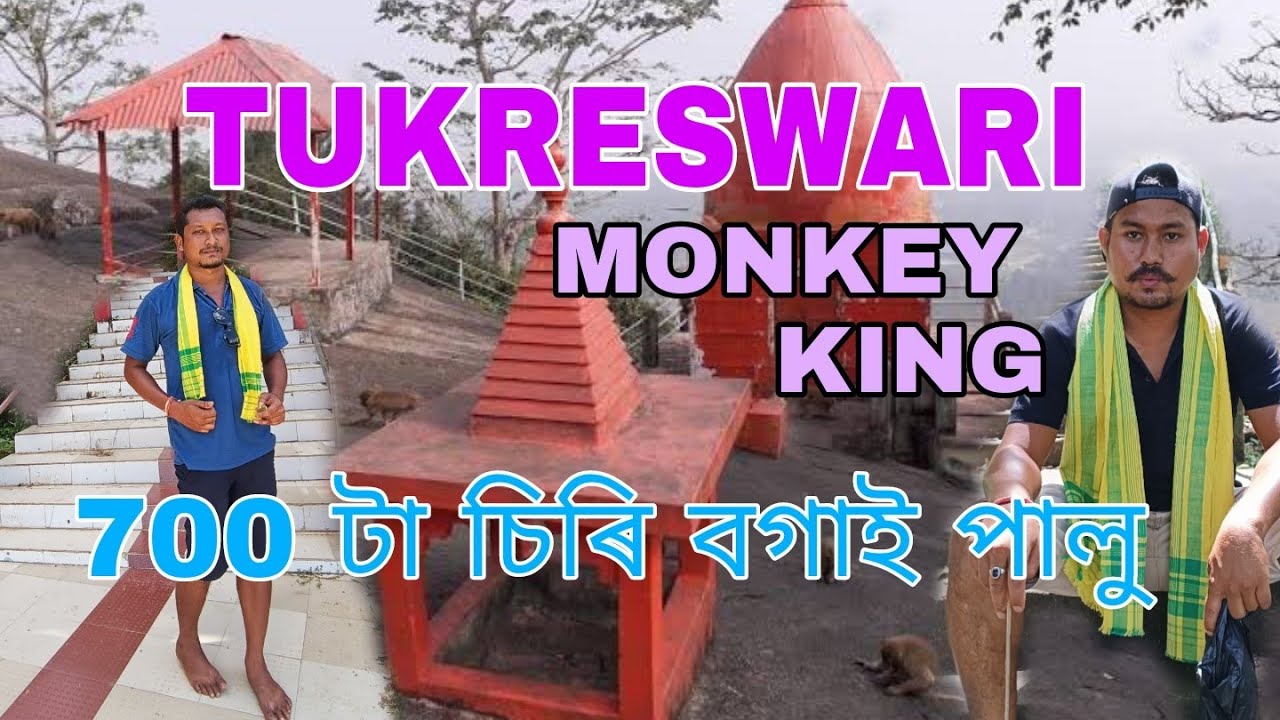 15 August 76 ll TUKRESWARI TAMPEL || MONKINDOM #my_first_vlog #tample  #my_first_vlog_on_youtube