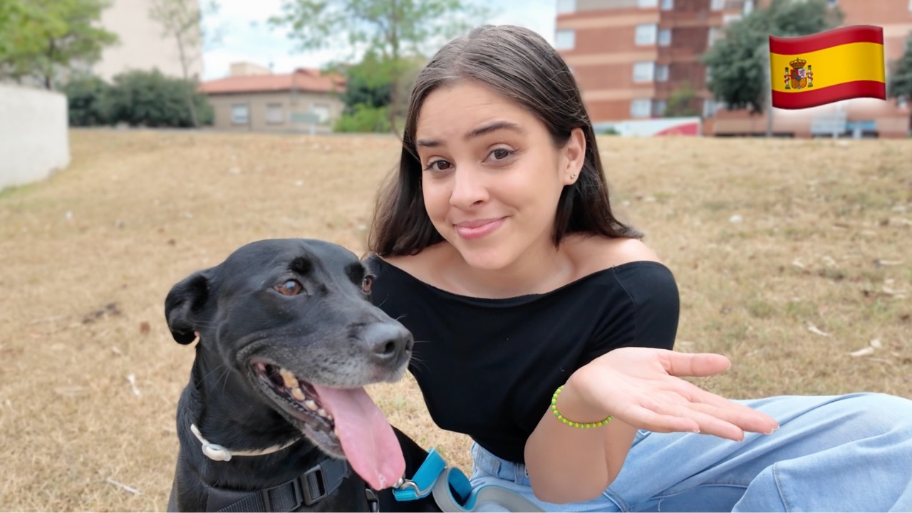 😨 Así es TRABAJAR CUIDANDO MASCOTAS en España 🇪🇦 ¿Vale la pena? 💸