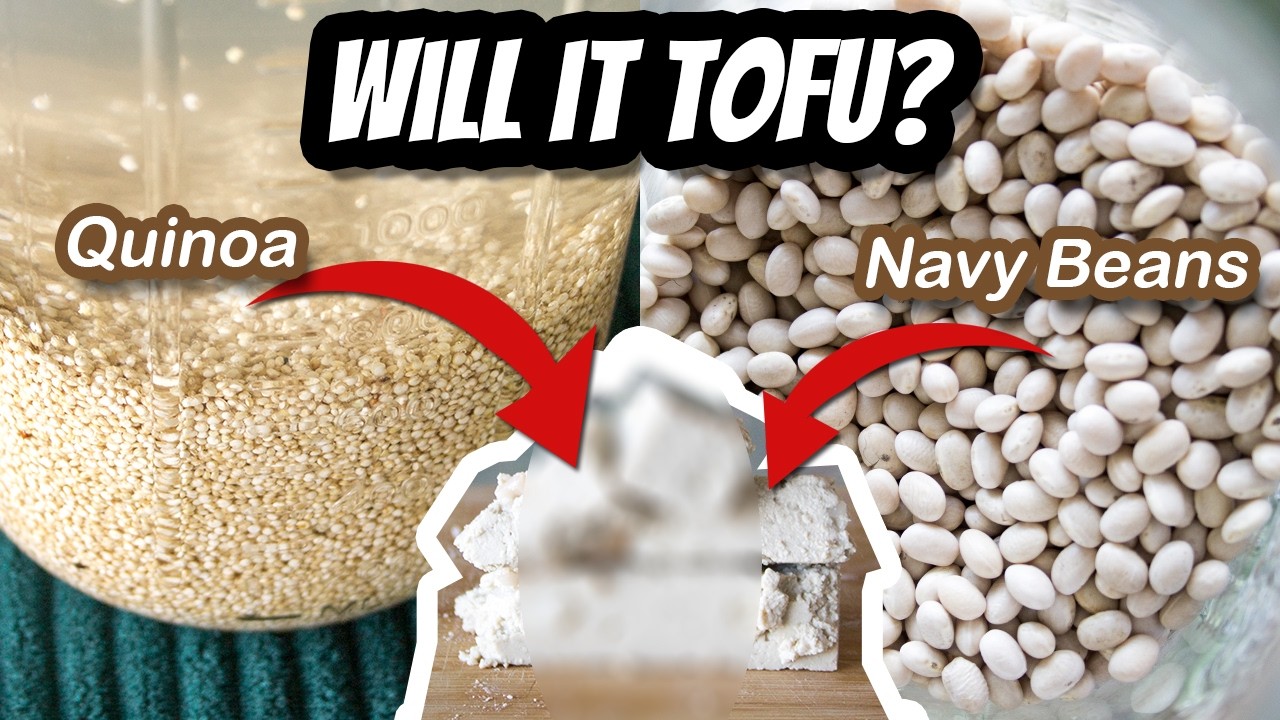 Will QUINOA TOFU? Will NAVY BEAN TOFU? Let's find out! | Mary's Test Kitchen