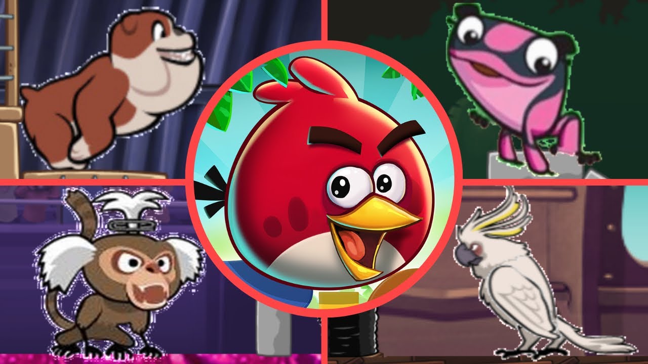 Angry Birds Maker Rio 12 - All Bosses (Luta dos Bosses)