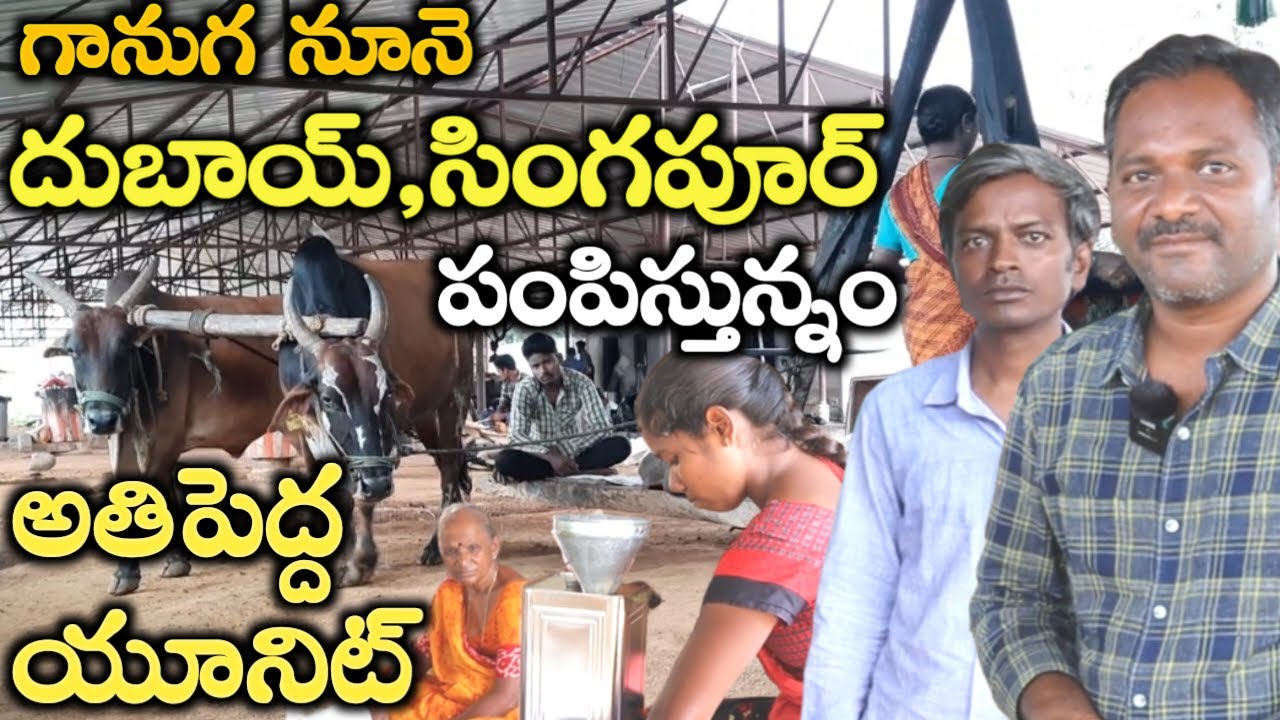ఆరోగ్యదాయని ఎద్దు గానుగ నూనె|Bull driven oil|mallesh adla|