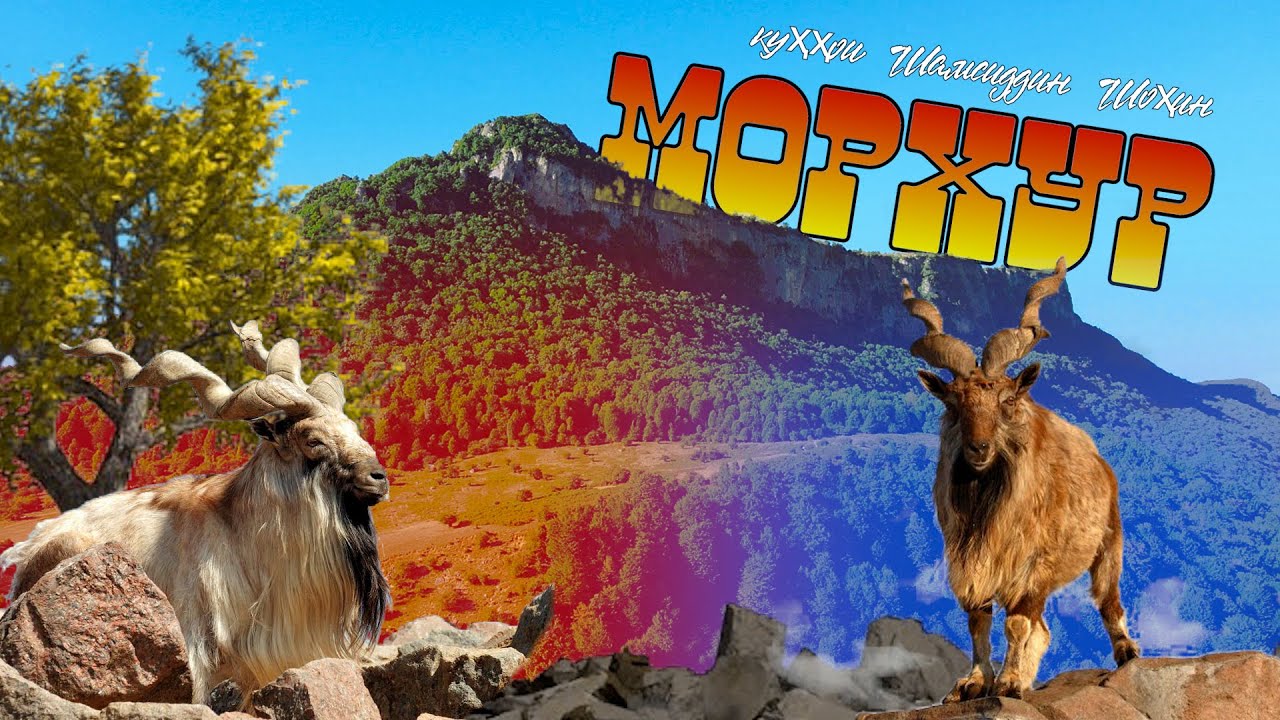 Тоҷикистон - Хатлон - Шамсиддин Шоҳин - Морхур / Tajikistan - Khatlon-Shamsiddin Shokhin - Morkhur