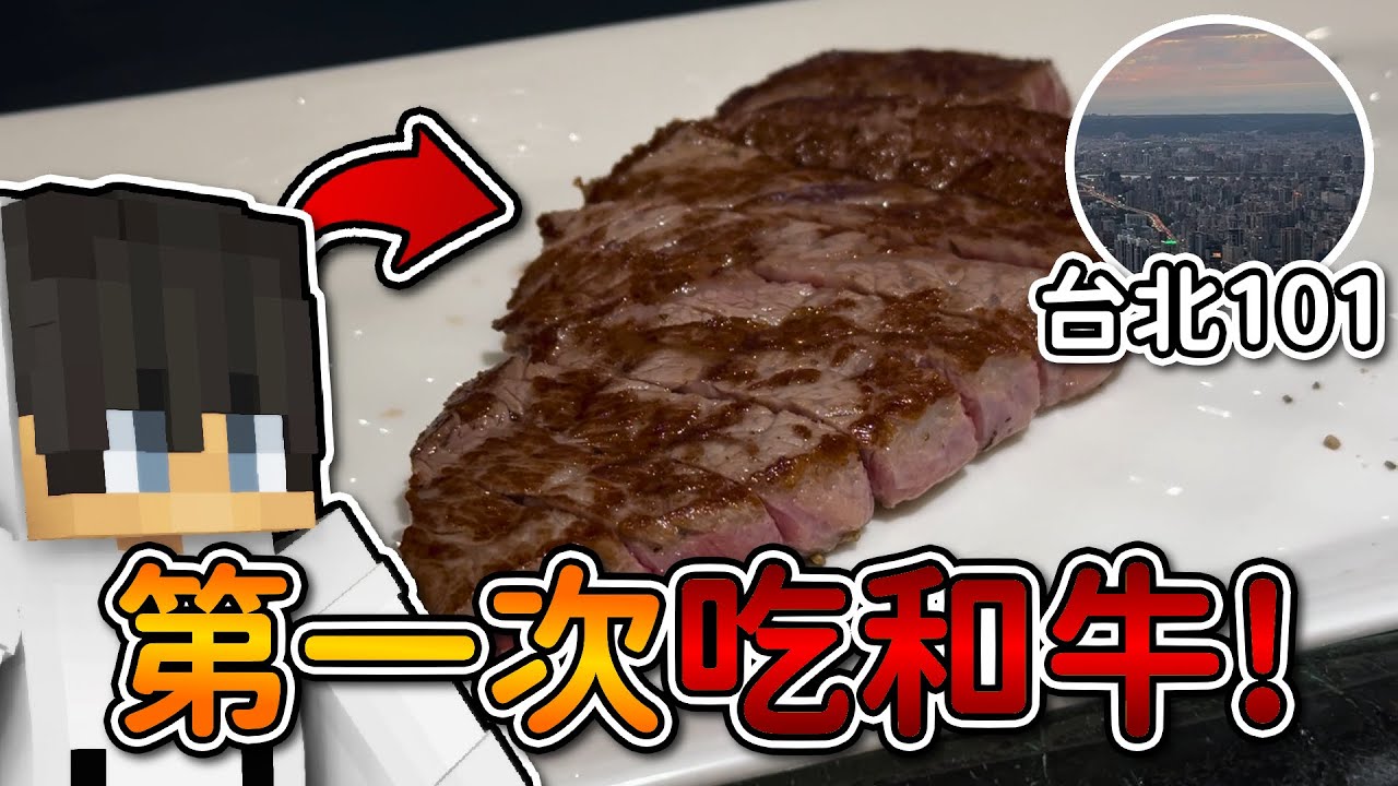 【偏頭VLOG】我終於吃到和牛了❗前往最高台北101觀景台...❓#4