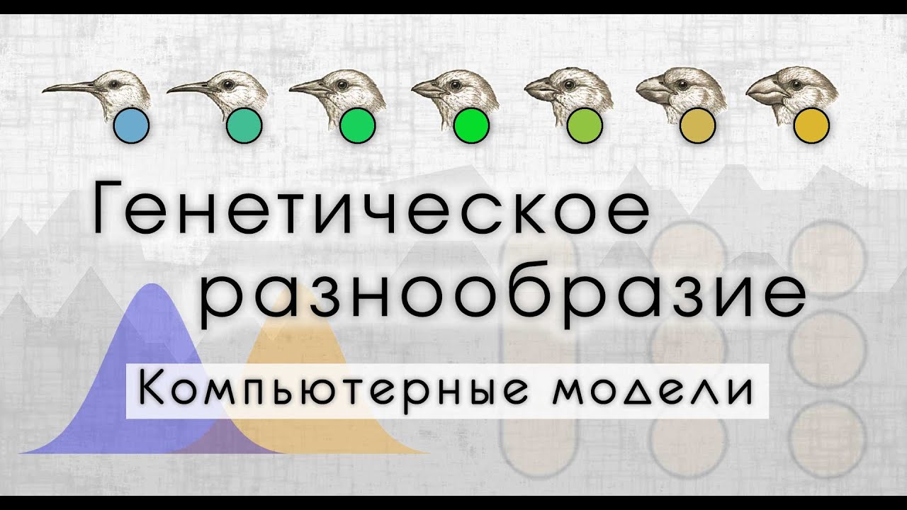 Генетическое разнообразие и биологические виды