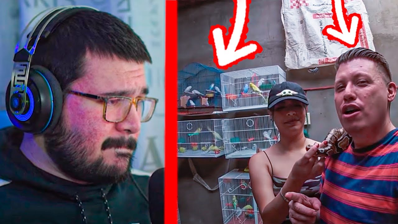 REACCIONANDO AL AVIARIO DE MARIOBLOGS #1