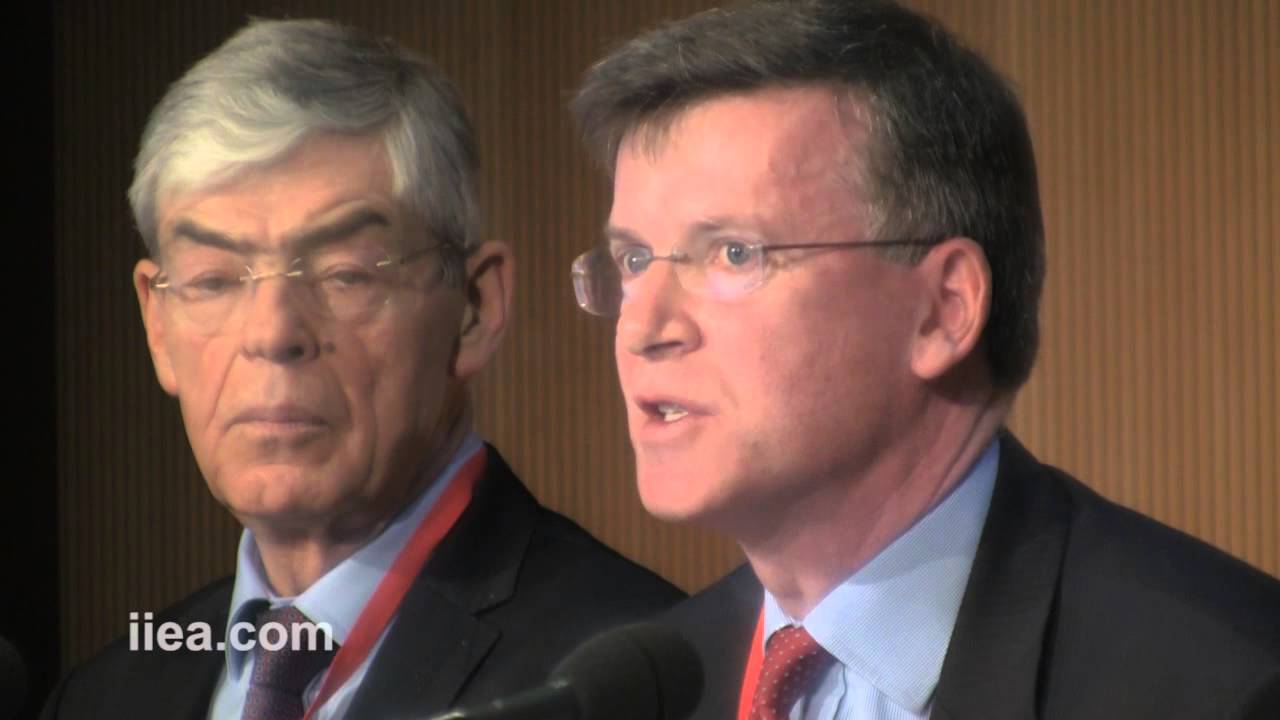 IIEA Banking Union Interim Report  - Alan Ahearne - Dec 2013
