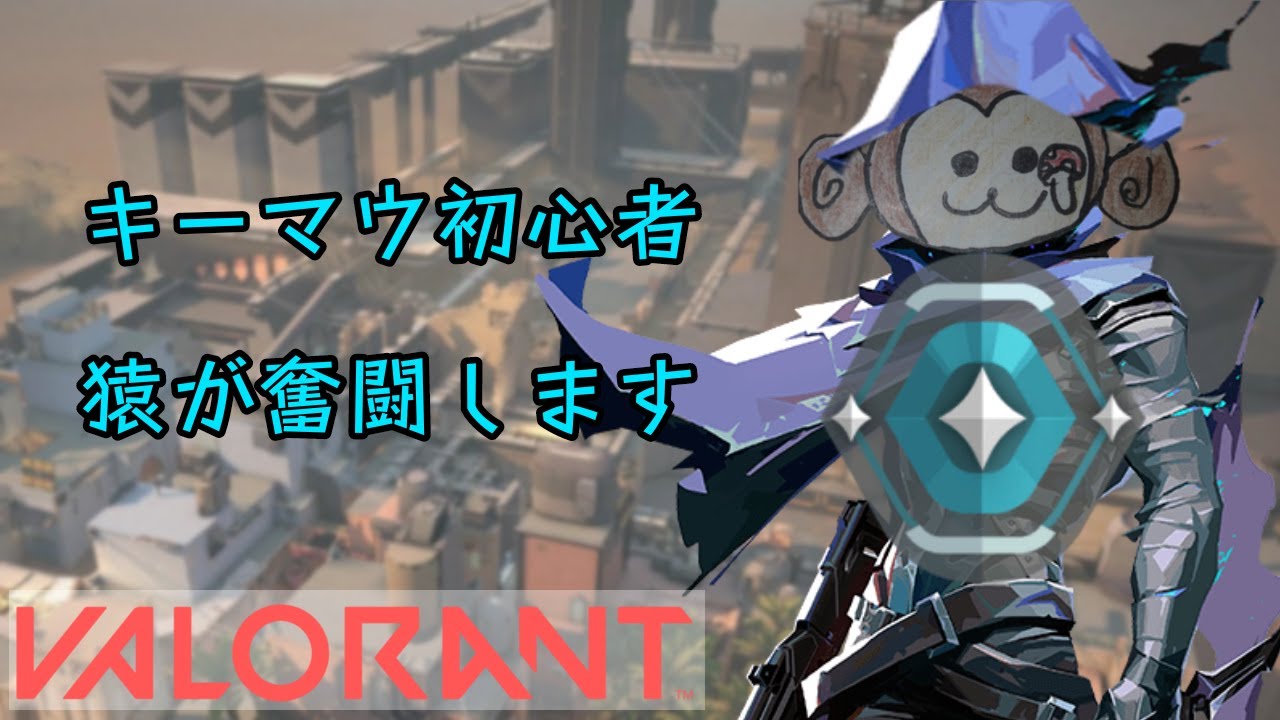 【安眠用】どちゃくそ汗だく銃撃ASMR　※ソロコンペ【VALORANT】
