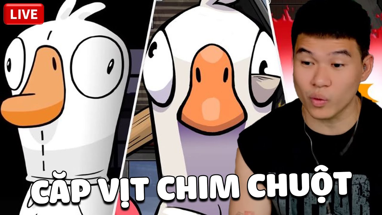 (DailyStream) ĐỘI ĐIỀU TRA ĐỒN LIÊM VÀ CẶP VỊT CHIM CHUỘT