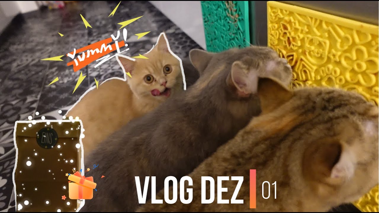 MEINE KATZEN SCHLECKEN AN DER SCHLECKMATTE ! - WIR ÖFFNEN TÜTCHEN 1 - CreamiHouse