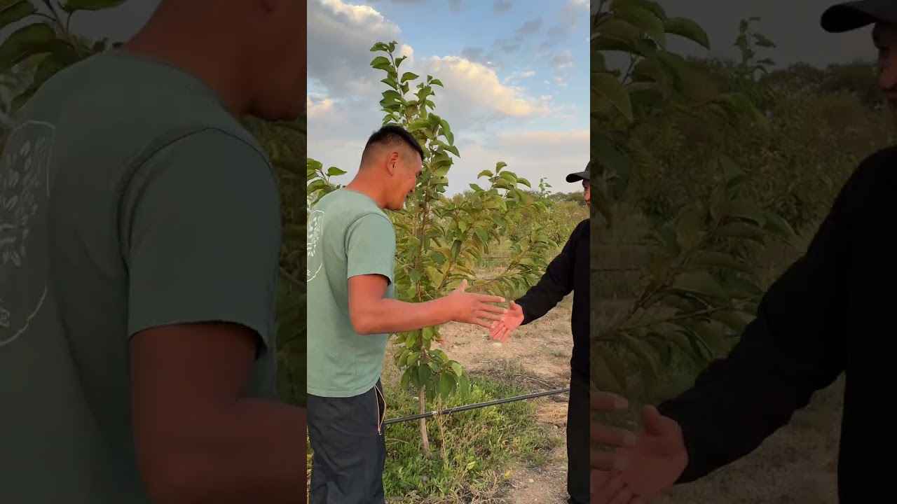 Ысык-Көлдөгү результат!