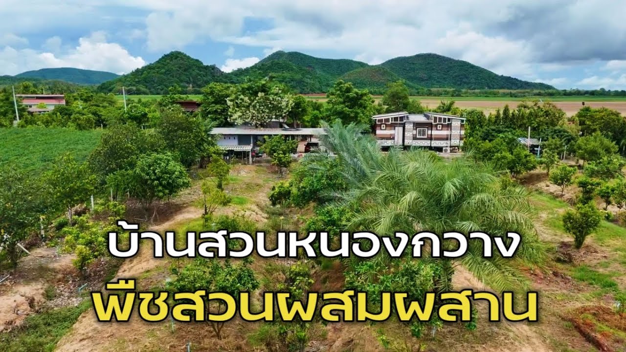 EP.2105  บ้านสวนเกษตร พืชสวนผสมผสาน พร้อมบ้าน 2หลัง ทำเลดี