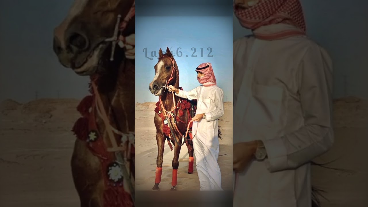 السمر والبيض __طرب💃🏻💃🏻__بدون موسيقى🤍 #اكسبلور #لايك