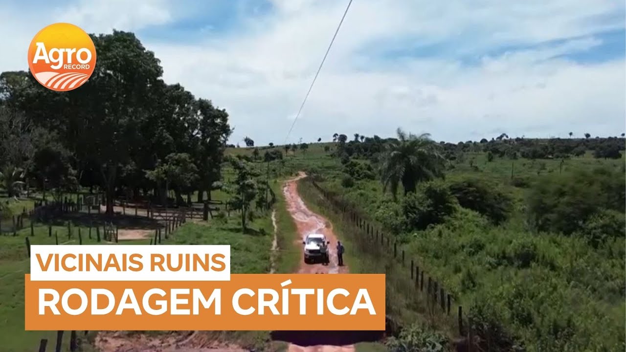 Estradas vicinais em mau estado causam preju&iacute;zos bilion&aacute;rios ao agroneg&oacute;cio brasileiro