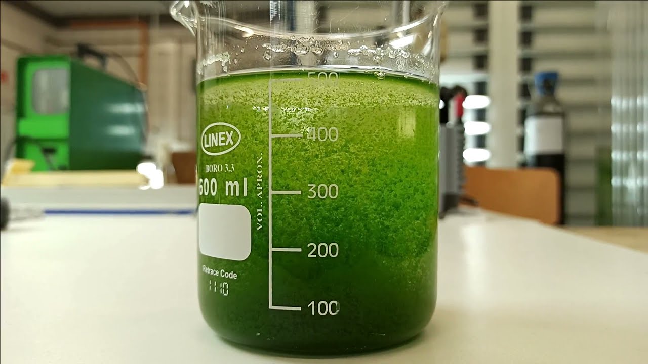 Flocculation with chitosan using the Jar test