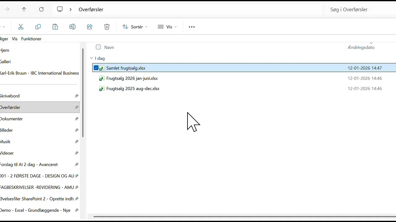 PowerQuery: Samlet data på tværs af ark og filer uden at miste data.