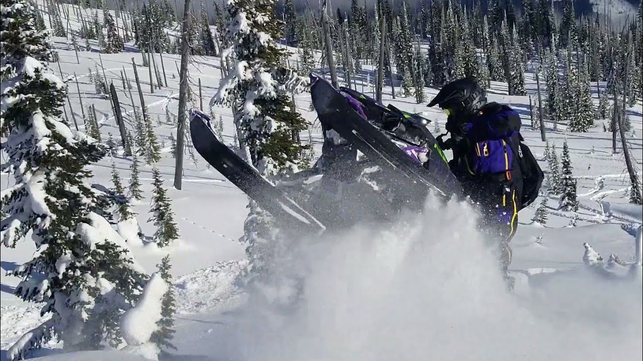 ALPHA ONE AVALANCHE
