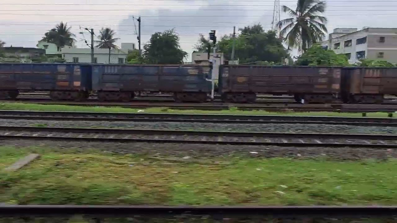 Train re galabele dekhilu bada birat bagha ! 