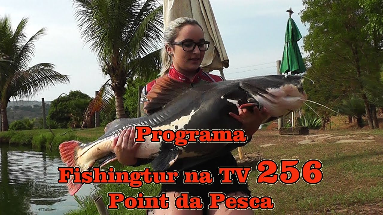 Programa Fishingtur na TV #256 - Peixes gigantes com o Fishingtur no Point da Pesca