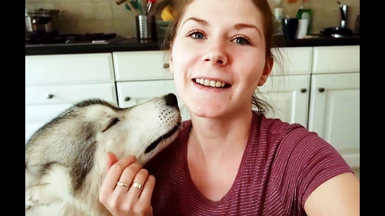 VLOGSTER pieskie życie - moja pasja