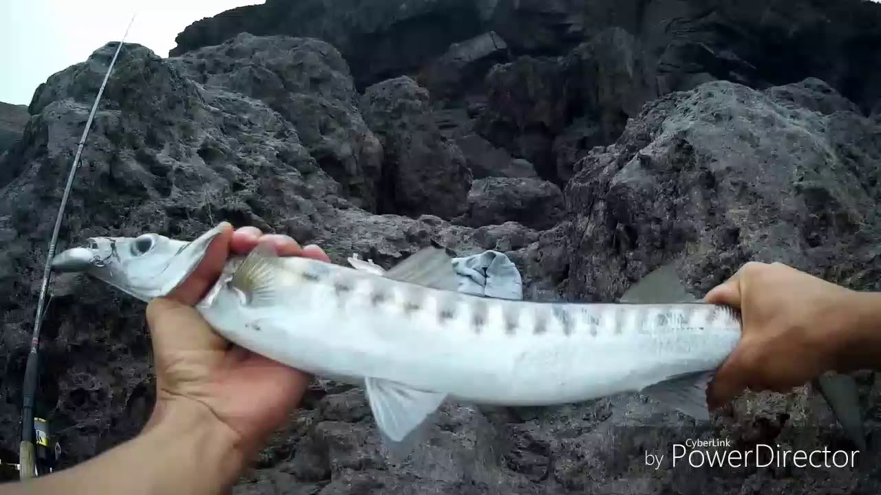Pesca spinning tenerife