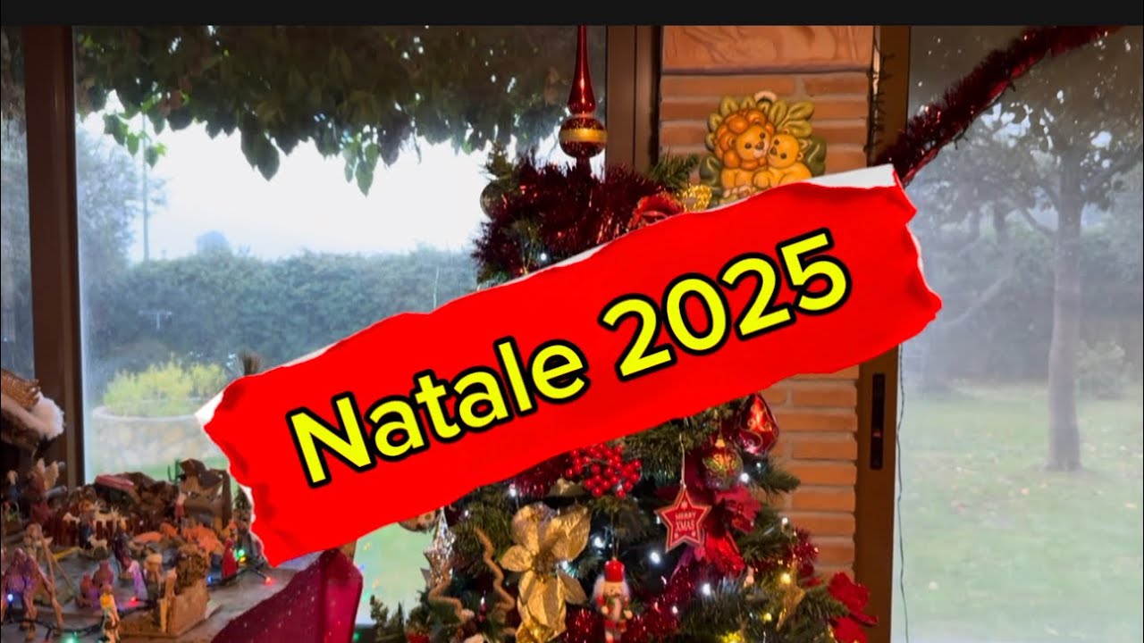 Natale 2025 vi mostro le nostre decorazioni🎄🪅
