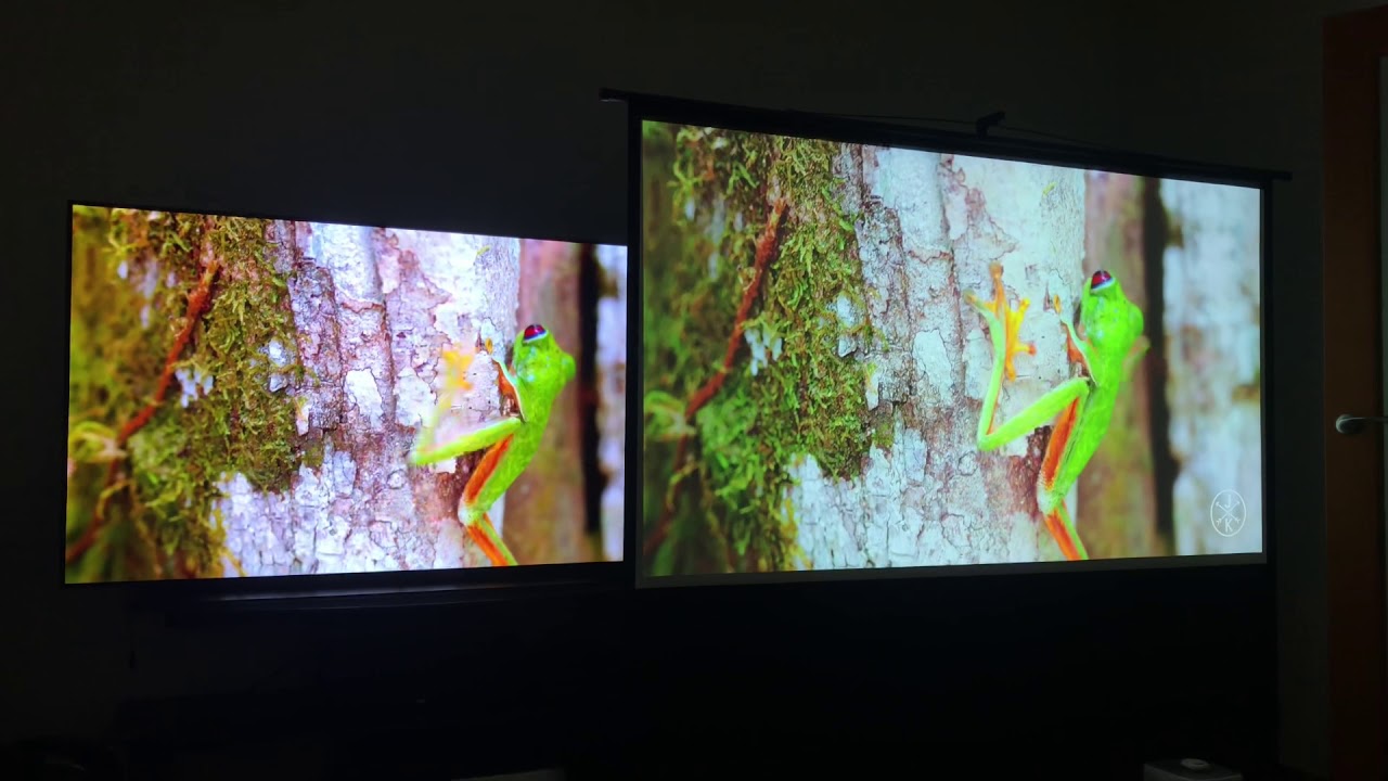 LG OLED 65 дюймов (слева), XGIMI H3 (справа)