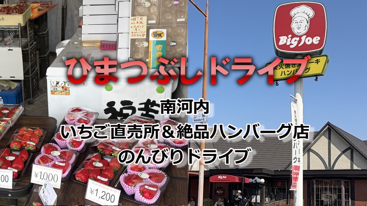 【南河内】いちご直売所＆大混雑のステーキハウスのんびりドライブ#南河内#いちご#直売所#千早赤阪村#グルメ#南河内グルメ#大阪グルメ#藤井寺
