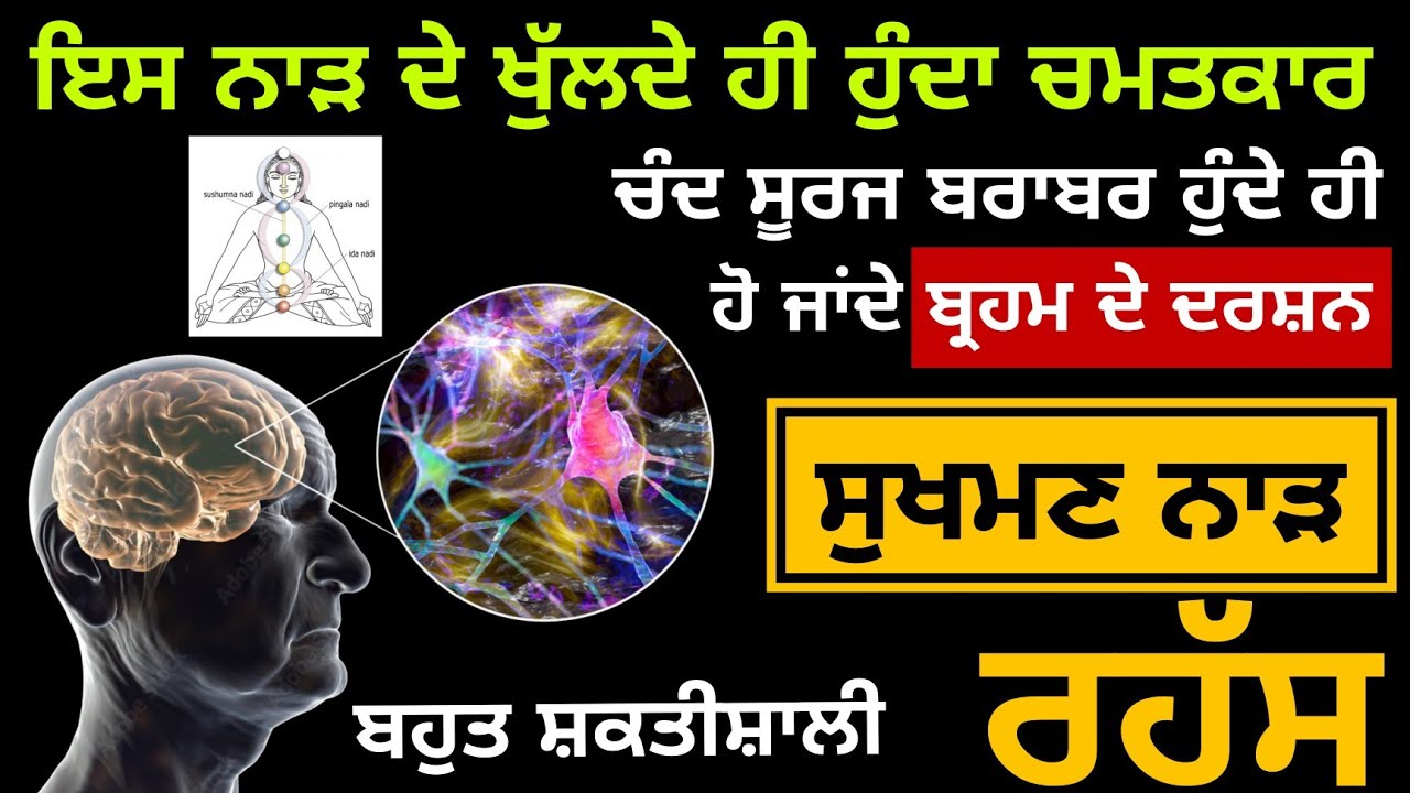 ਇਸ ਨਾੜ ਦੇ ਖੁੱਲਦੇ ਹੀ ਹੁੰਦਾ ਚਮਤਕਾਰ | ਸੁਖਮਣ ਨਾੜ ਰਹੱਸ | naam is trah jap ke suaas braber chalan |