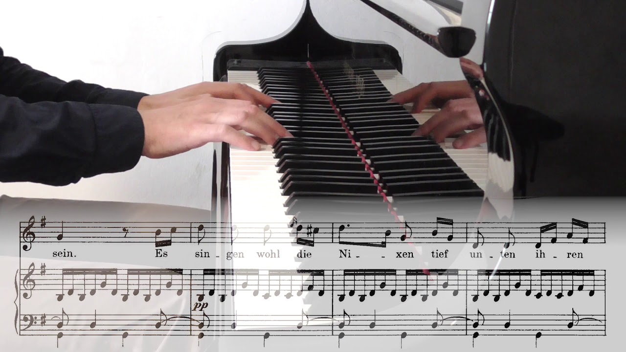 Franz Schubert: Die schöne Müllerin D 795 - 02 - Wohin?