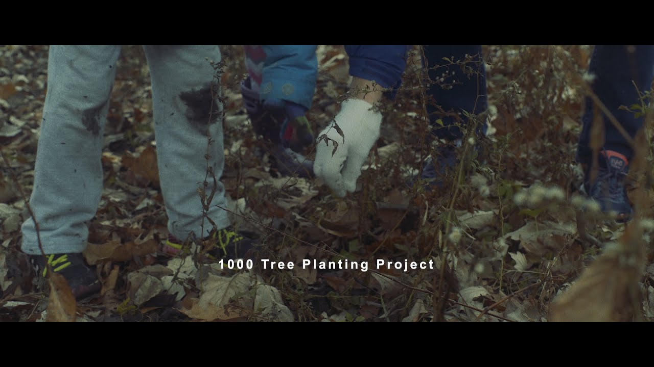 1000 Tree Planting Project 2019 — Highlight Video