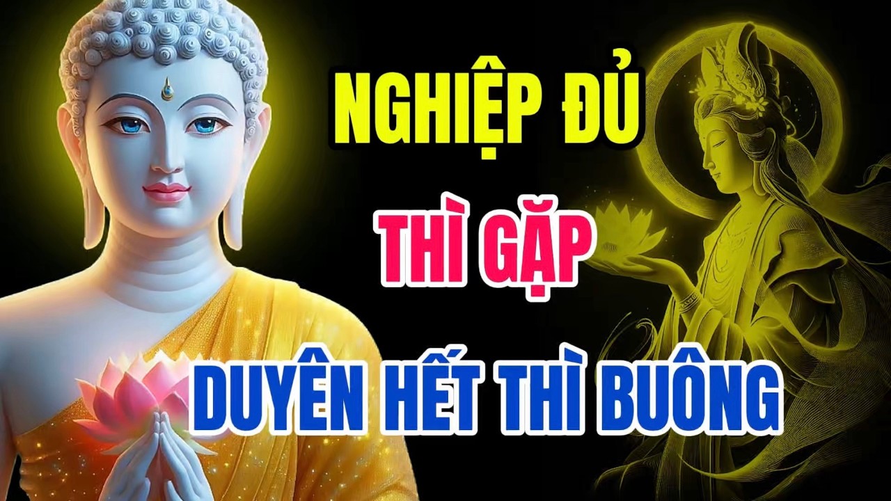 Nghiệp Đủ Thì Gặp, Duyên Hết Thì Buông – Hiểu Sâu Nhân Duyên Để Tâm Không Còn Khổ