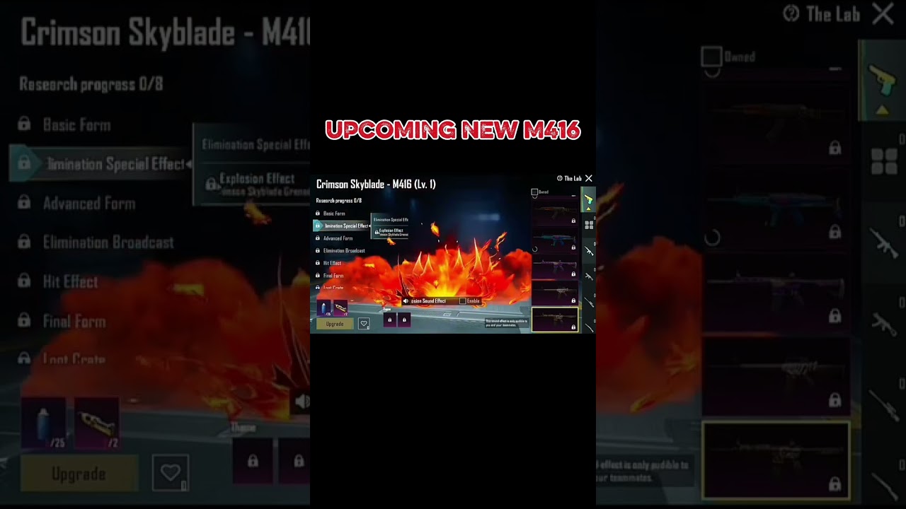 NEW M416 SKIN 