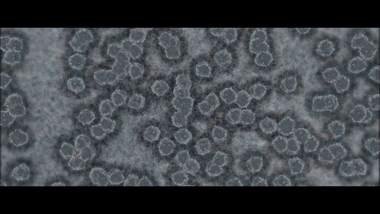 Science Will Win: Protease Inhibitors