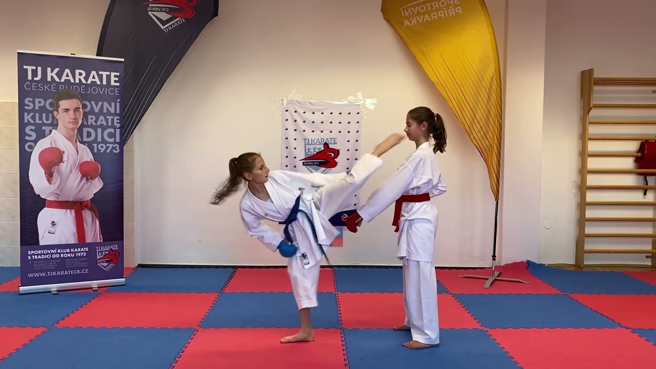 ERASMUS 2025 - VIDEO