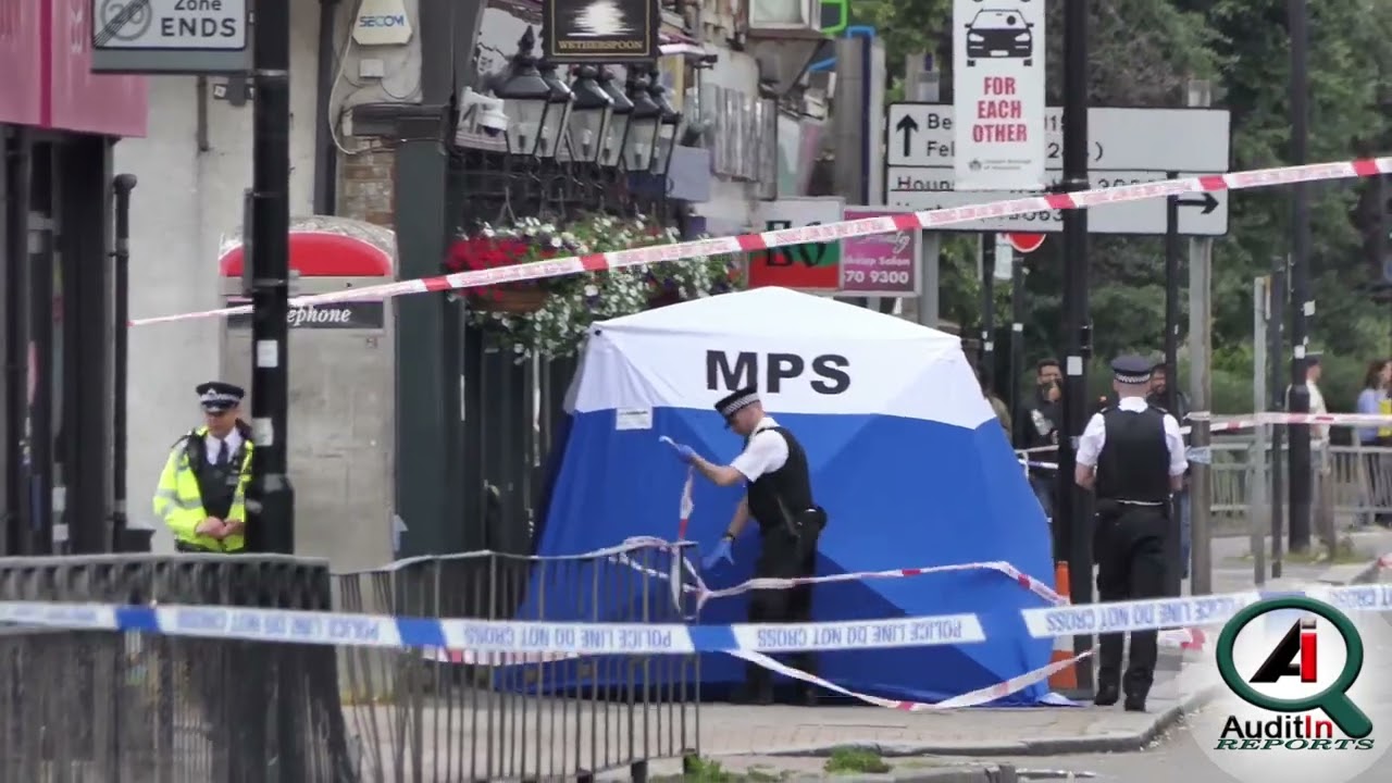 Hounslow stabbing Man, 31, stabbed to death outside Wetherspoons Staines Road