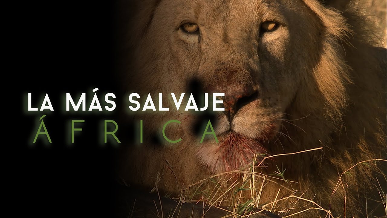 África más salvaje -  Nilo: una odisea africana