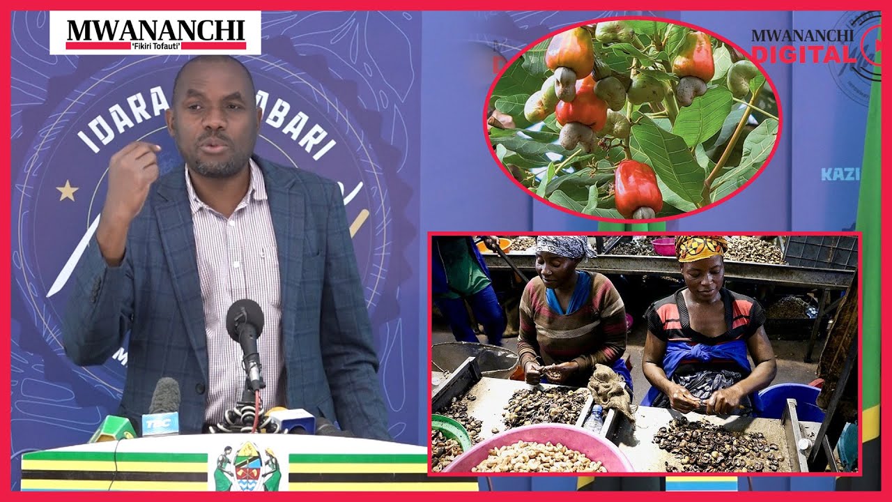 Neema nyingine yaja kwa wakulima wa Korosho