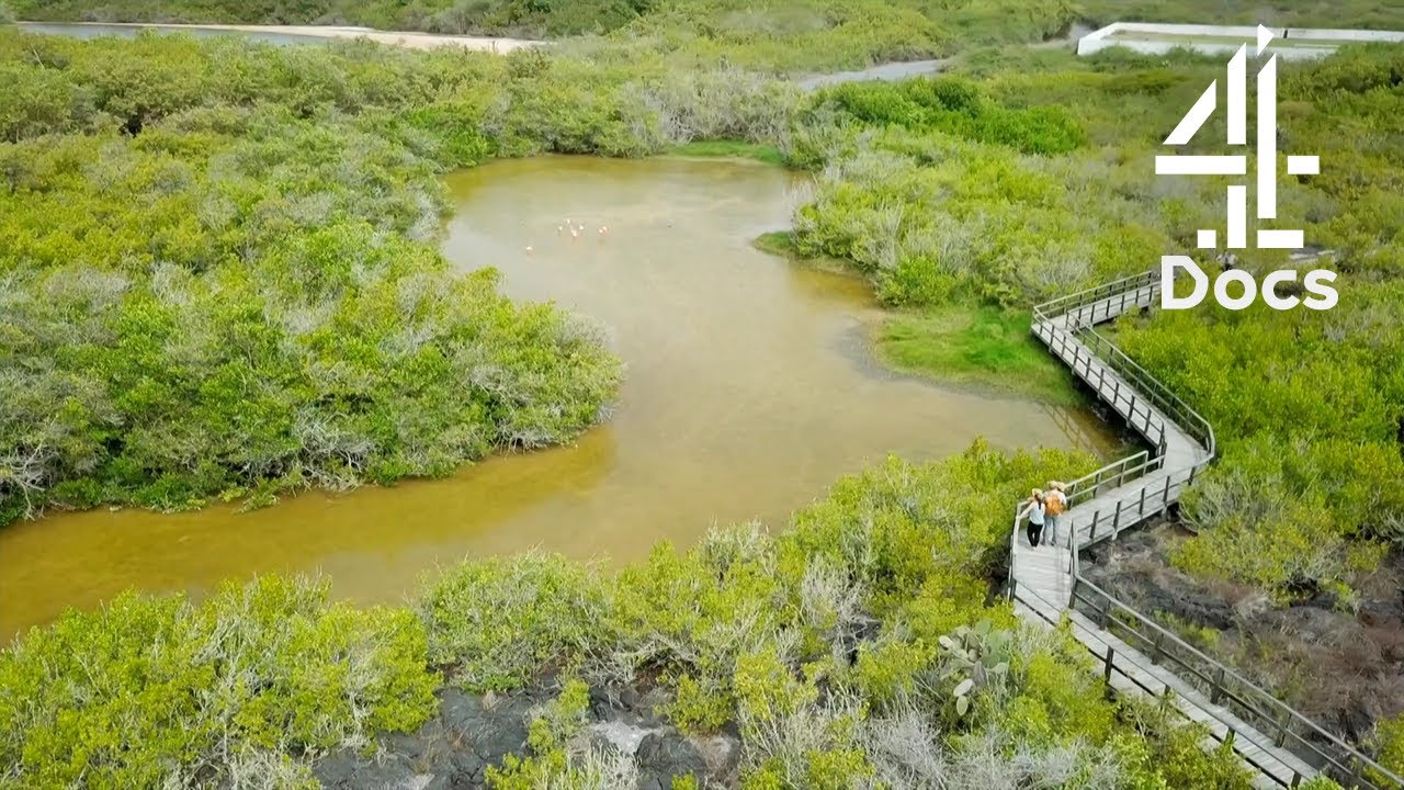 Is This the Most Low-Cost & Innovative Solution to Sewage Water?