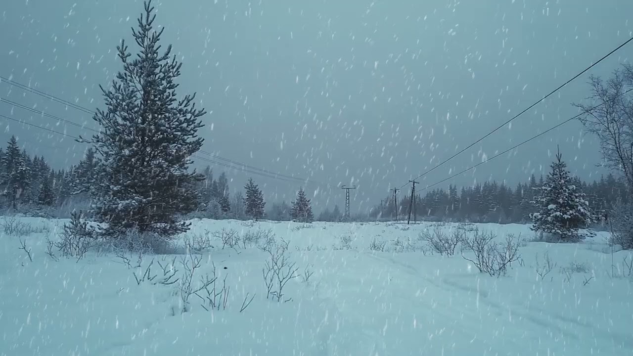 Snow Falling Across a Wide Winter Landscape During a Calm Afternoon