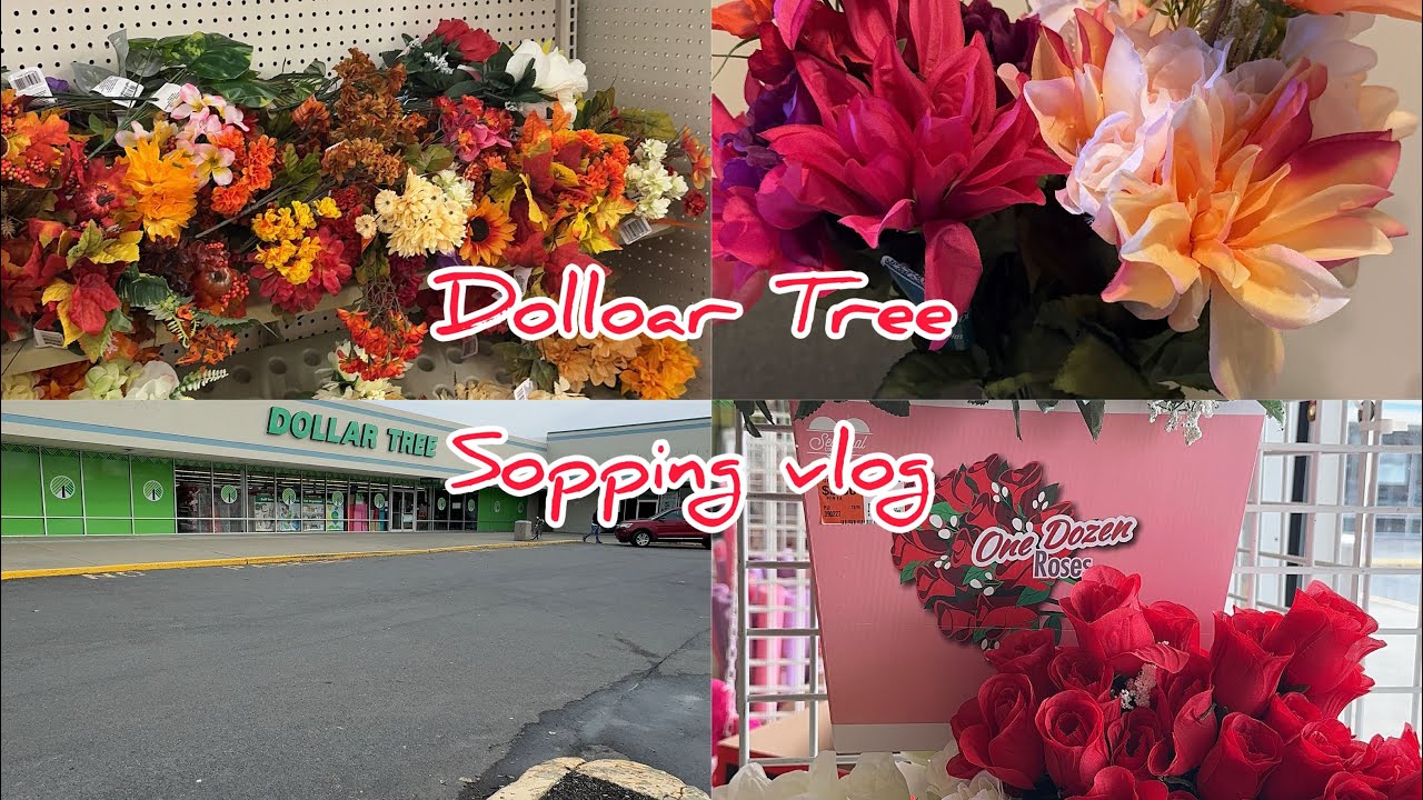 Dollear tree থেকে অনেক কিছু কিনেছি ।বাসা সাজানোর জন্য কত কিছু কিনতে হয় !