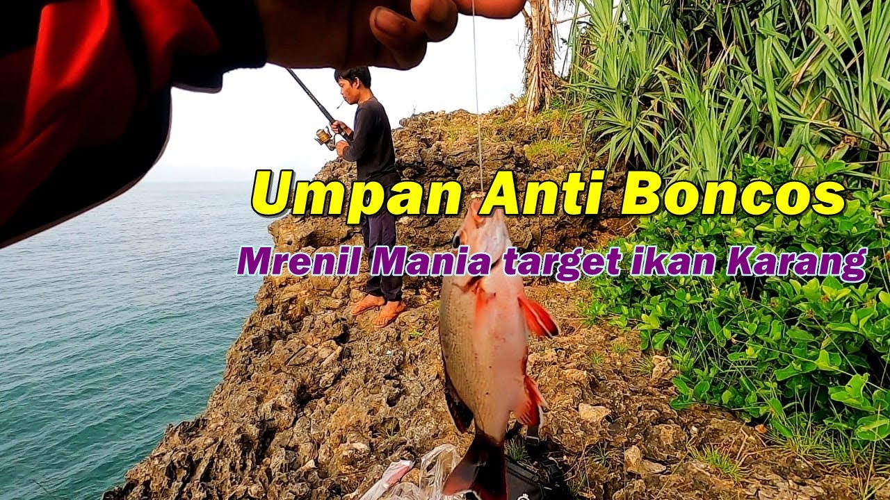 UMPAN ANTI BONCOS, Mancing Ikan Di Laut Dari Tebing Tehnik Mrenil. #mancingdasaran #mancingruwet