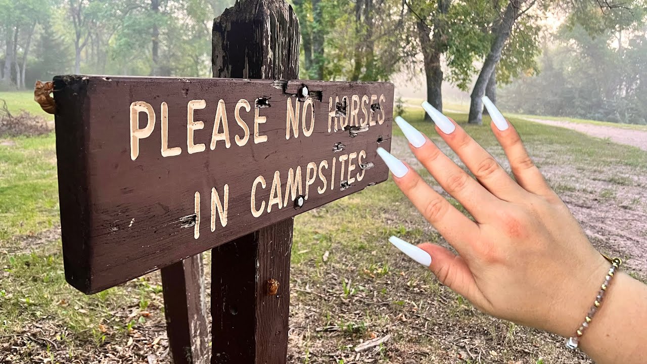 ASMR In Nature 🏕️ Fast Tapping & Scratching Outdoors