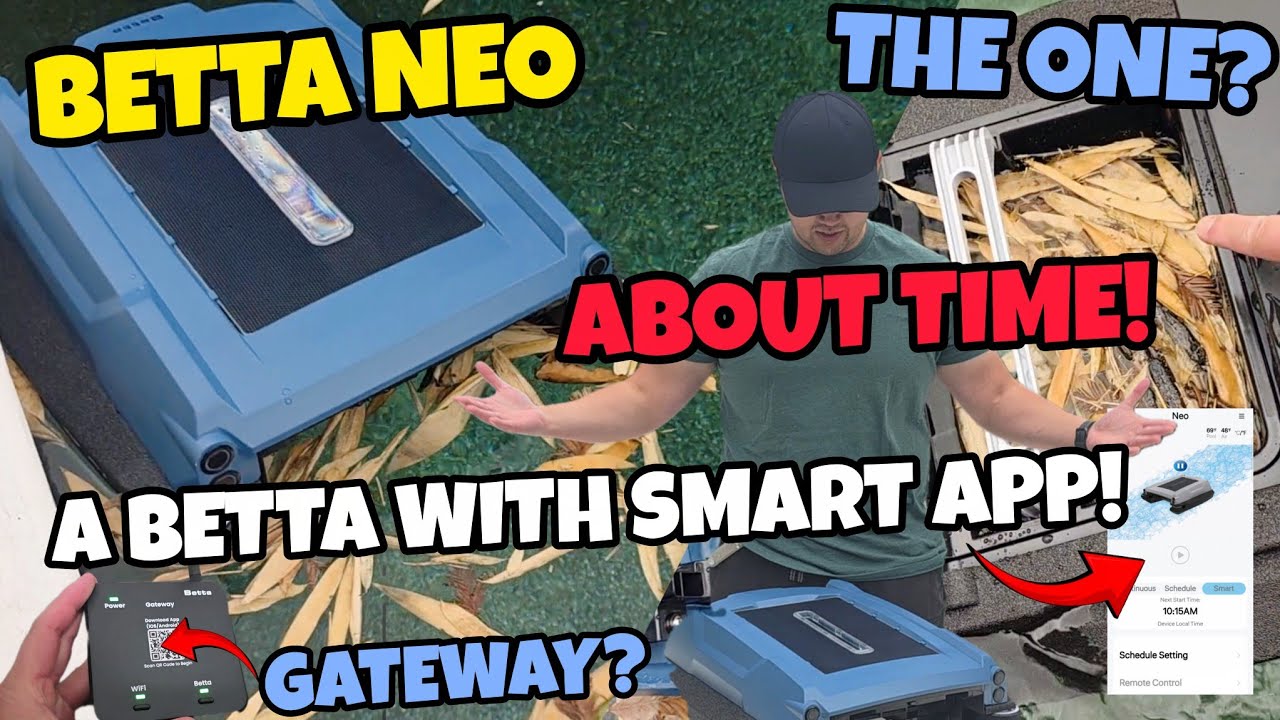 Betta Neo: Бойцовая рыбка с умным приложением!