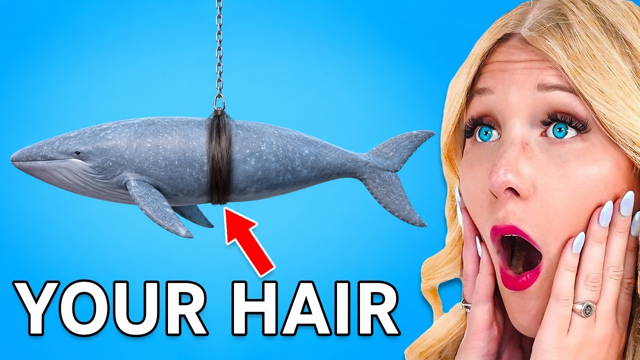 Things You Wish You NEVER Knew (Zack D Films)!