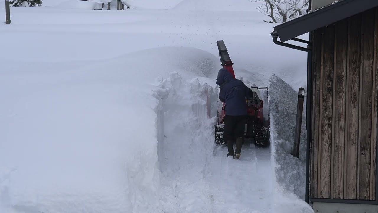 屋根からの落下雪排雪（令和8年2月1日）