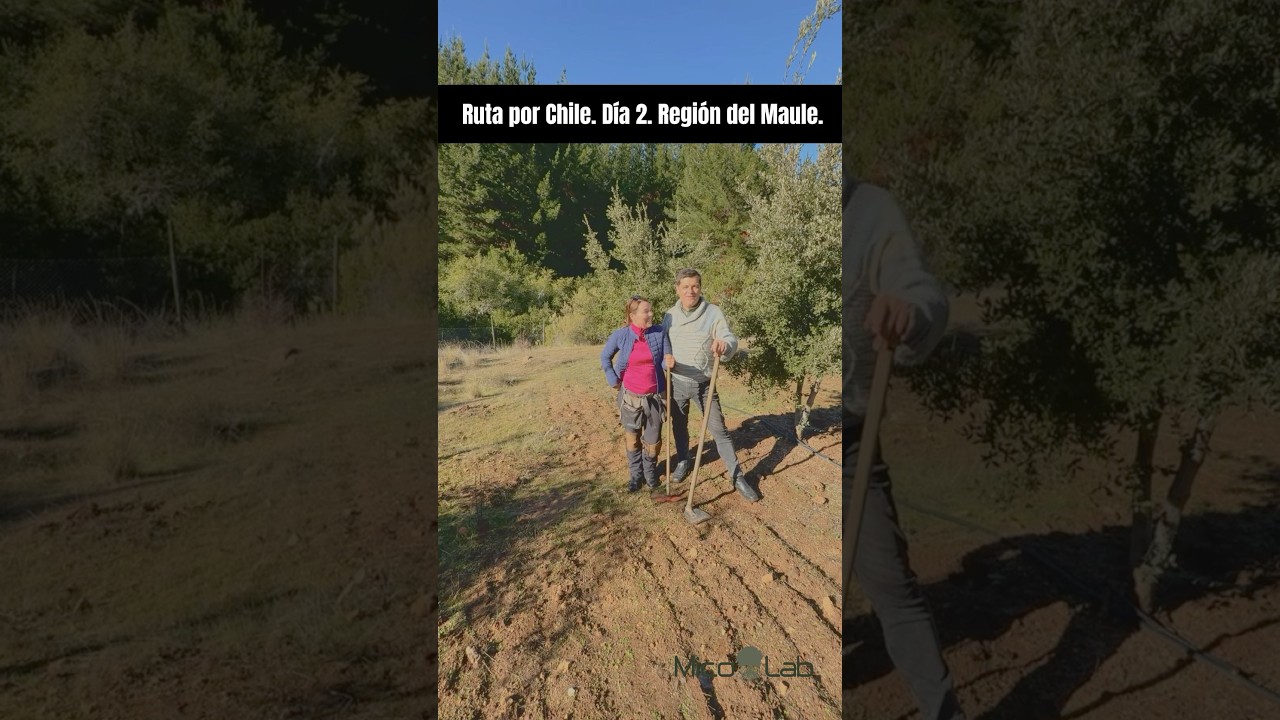 Chile: truficultura en ruta. Dia 2. Regi&oacute;n del Maule. Asesoramiento a productores de trufa negra.
