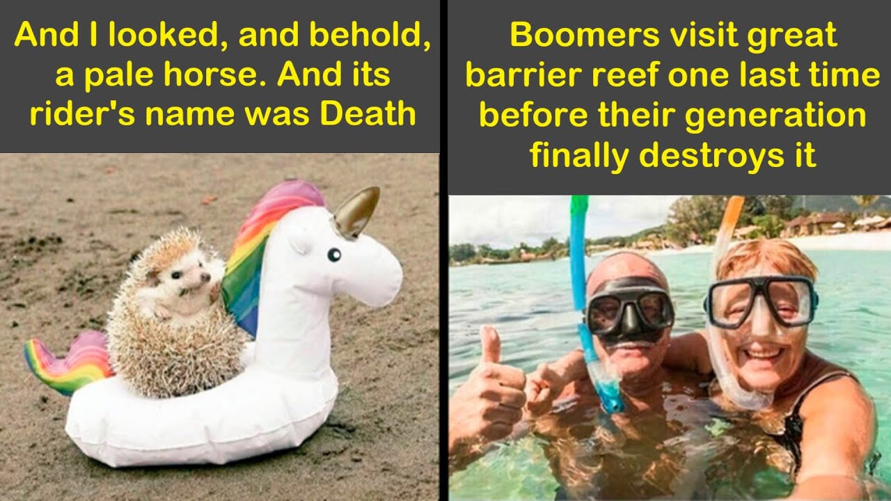 Humor Pics That Somehow Make More Sense The Less You Think About Them | Humor Sweet
